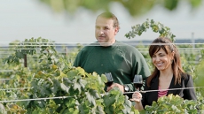 Getaway to Niagara Wine Country